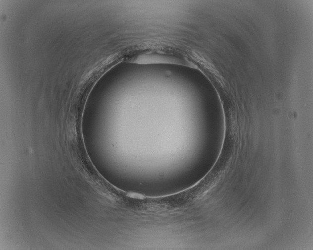 X0000074310681200609011513