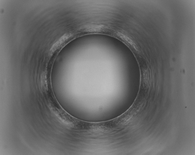 X0000074310682200609011513