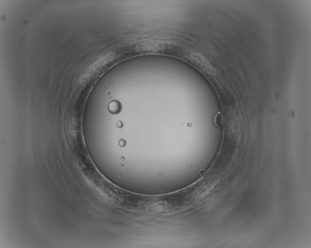 X0000074310683200609011513