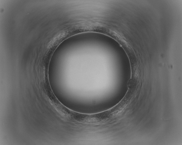 X0000074310685200609011513