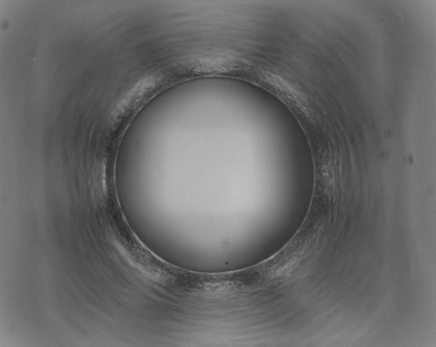 X0000074310686200609011513