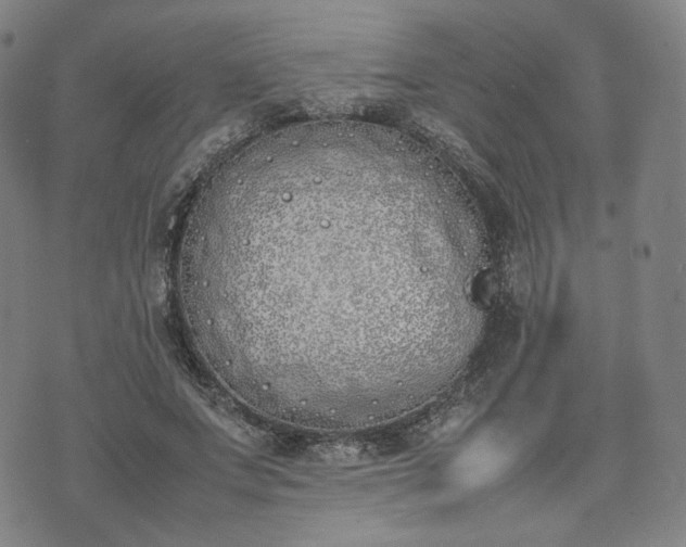 X0000074310687200609011513