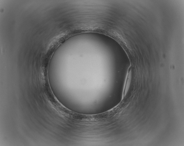 X0000074310688200609011513