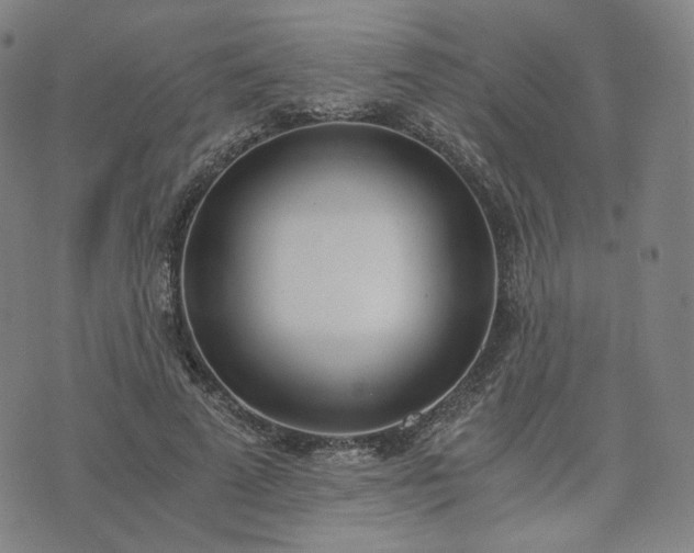 X0000074310689200609011513