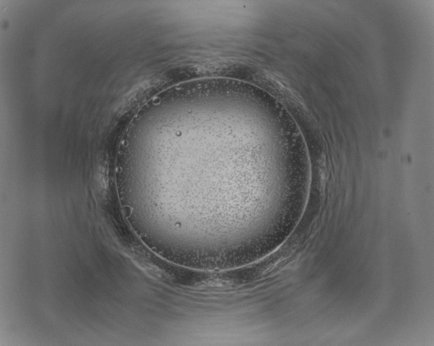 X0000074310691200609011513