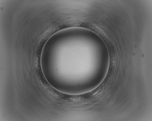 X0000074310693200609011513