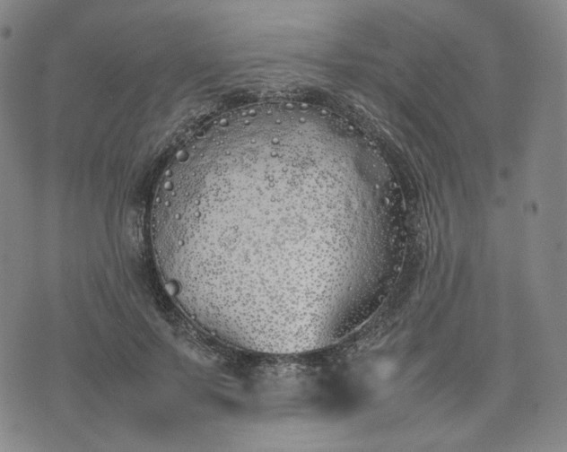 X0000074310695200609011513