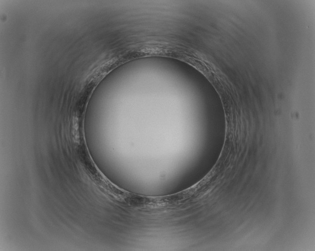 X0000074310696200609011513