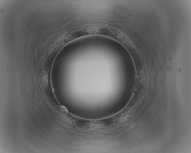 X0000074310697200609011513