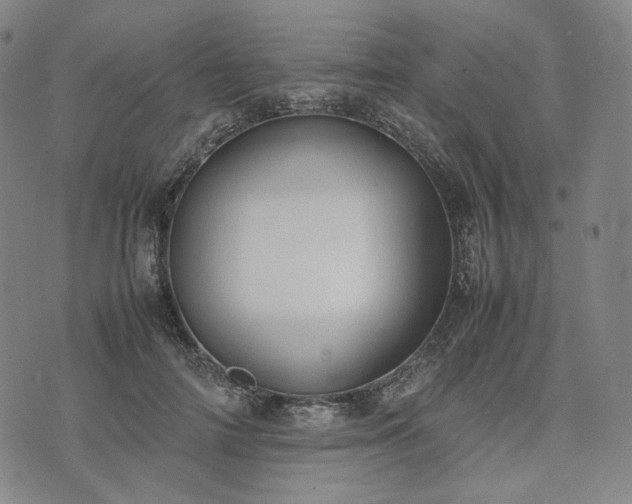 X0000074310698200609011513