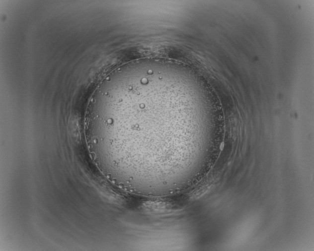 X0000074310699200609011512