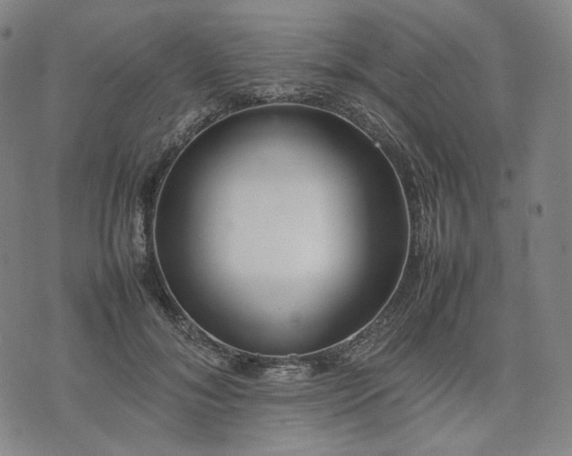 X0000074310700200609011512