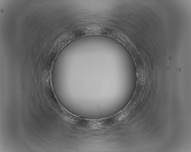 X0000074310701200609011512