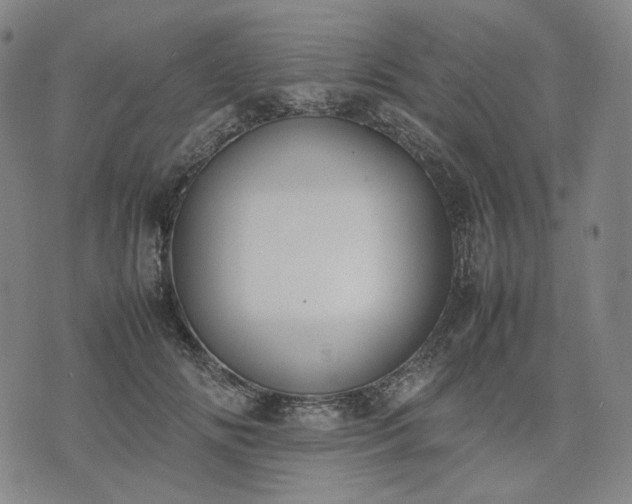 X0000074310702200609011512