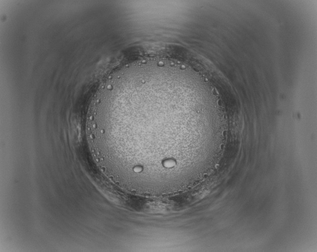 X0000074310703200609011512