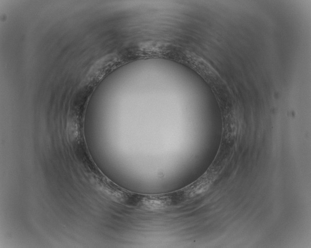 X0000074310706200609011512