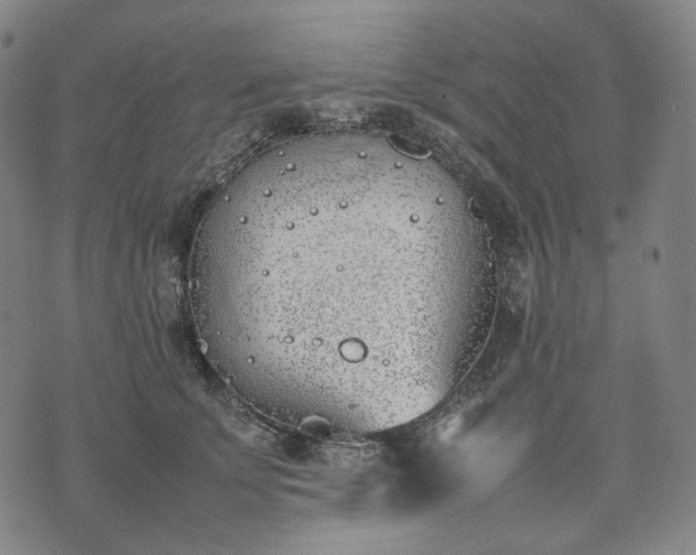 X0000074310707200609011512