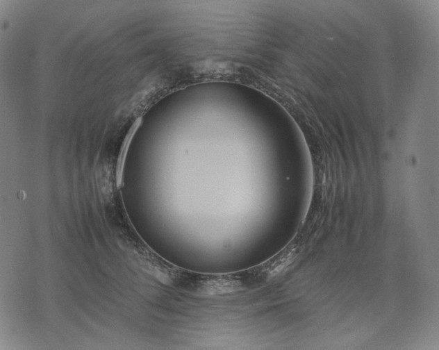 X0000074310708200609011512