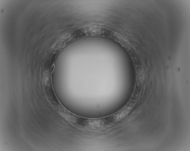 X0000074310709200609011512