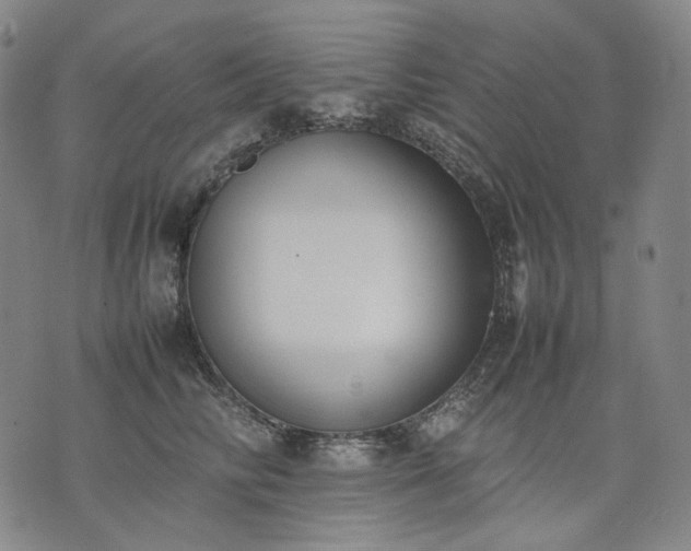 X0000074310710200609011512