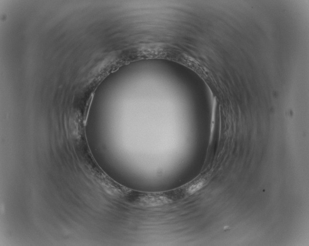 X0000074310712200609011512