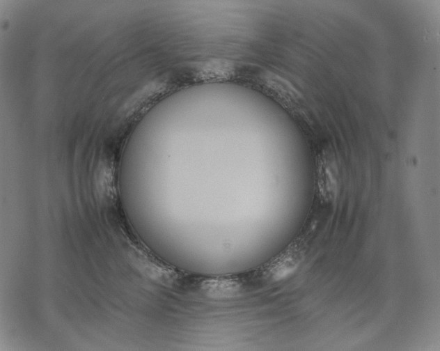 X0000074310714200609011512