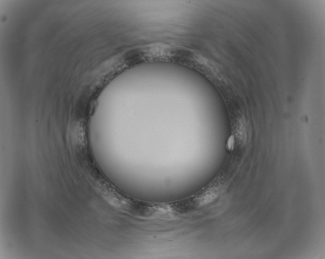 X0000074310715200609011512