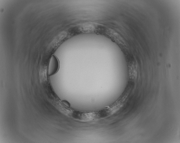 X0000074310717200609011512