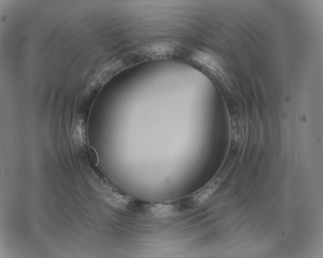 X0000074310718200609011512