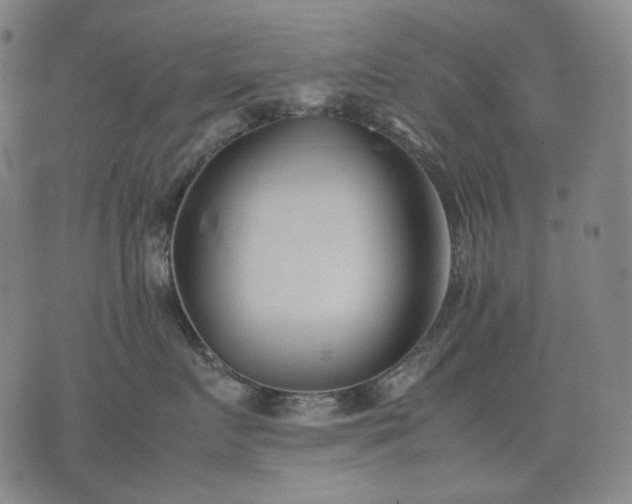 X0000074310719200609011512