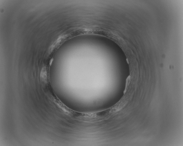 X0000074310720200609011512