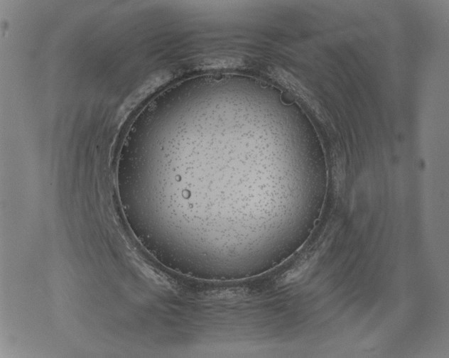 X0000074310721200609011511