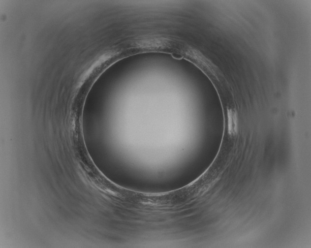 X0000074310723200609011511