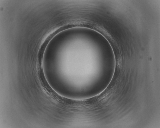 X0000074310724200609011511