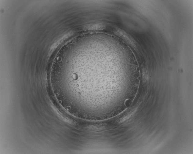 X0000074310725200609011511