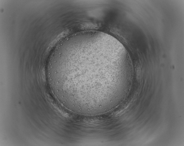 X0000074310729200609011511