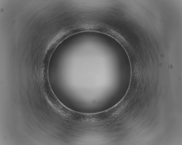 X0000074310730200609011512