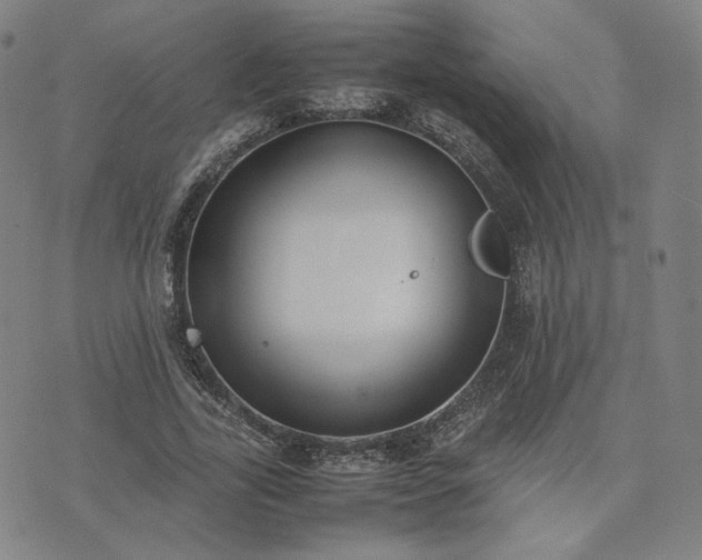 X0000074310731200609011512