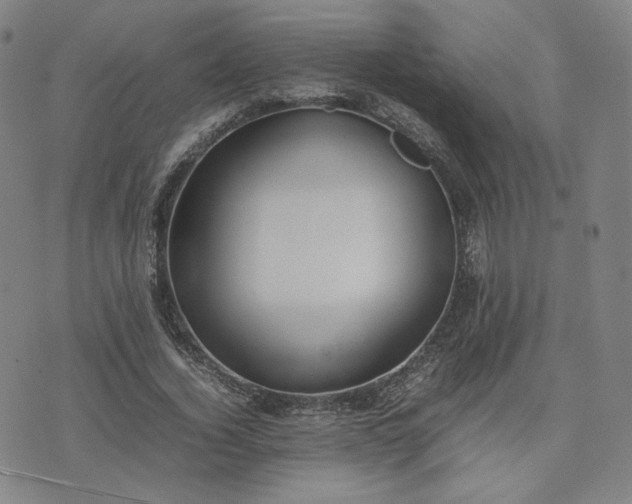 X0000074310732200609011512