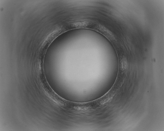 X0000074310733200609011512