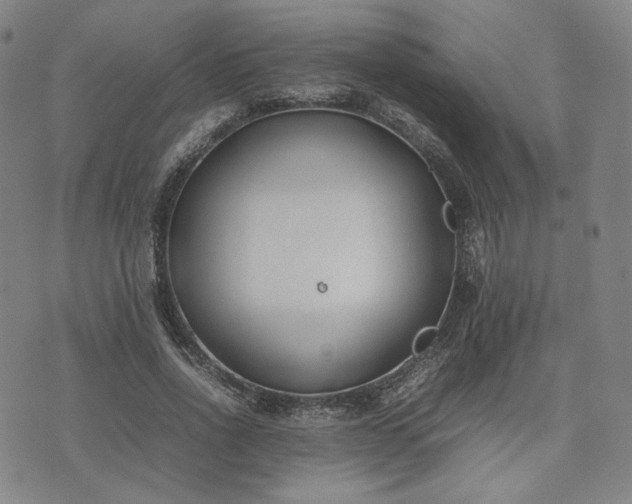 X0000074310734200609011512