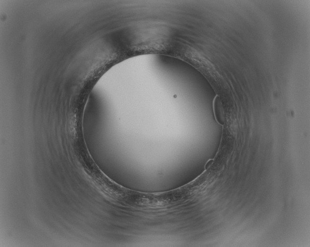 X0000074310735200609011512