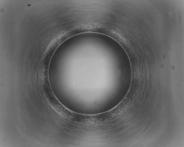 X0000074310736200609011512