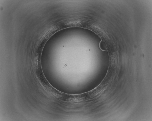 X0000074310739200609011512