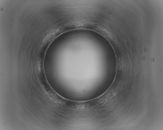 X0000074310740200609011512