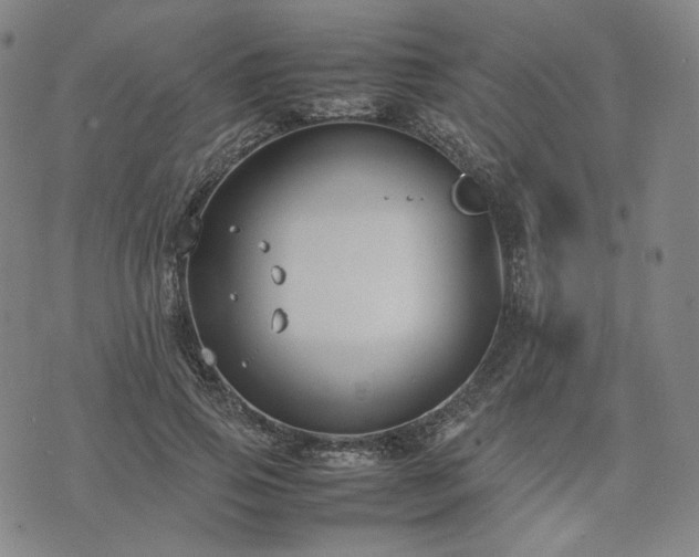 X0000074310741200609011512