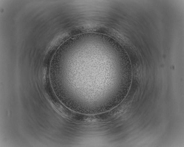 X0000074310742200609011512