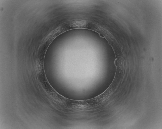 X0000074310743200609011512