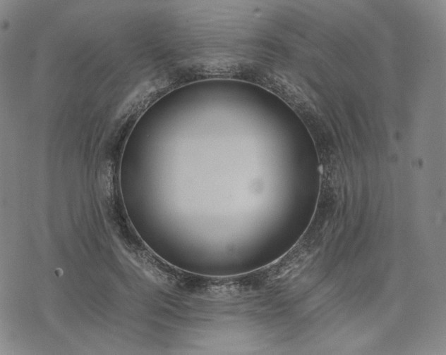 X0000074310744200609011512