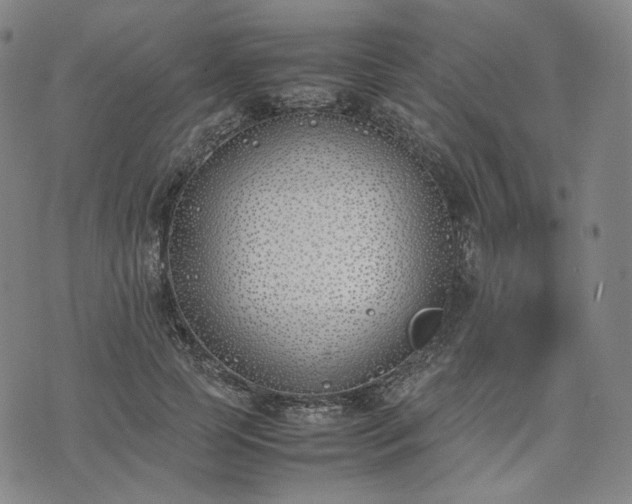 X0000074310745200609011512